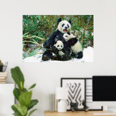 Poster van Panda cubs (Thuiskantoor)