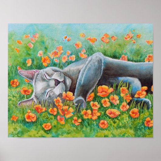 Poster van papavers (Voorkant)