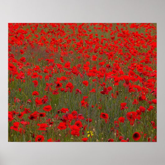 Poster van papavers/afdrukken (Voorkant)