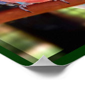 Poster van papegaai (Hoek)