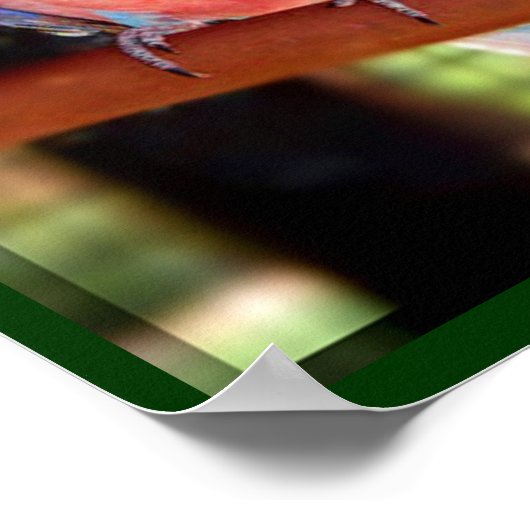 Poster van papegaai (Hoek)