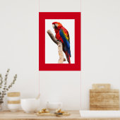 Poster van papegaai (Keuken)