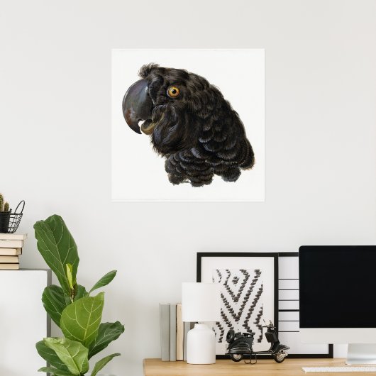 Poster van papegaai (Thuiskantoor)