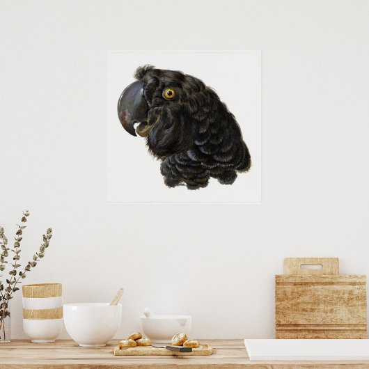 Poster van papegaai (Keuken)