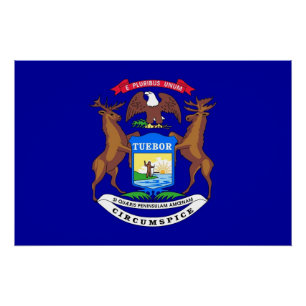 Poster van patriottische wanden met vlag van Michi