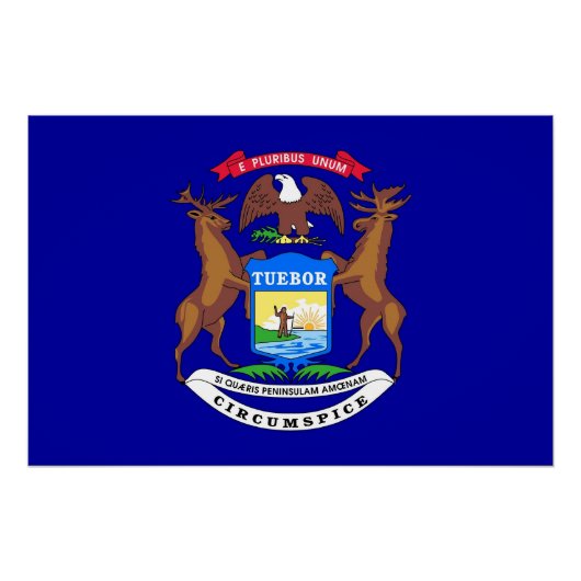 Poster van patriottische wanden met vlag van Michi (Voorkant)