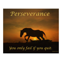 Poster van Perseverance