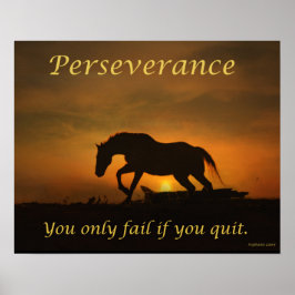 Poster van Perseverance