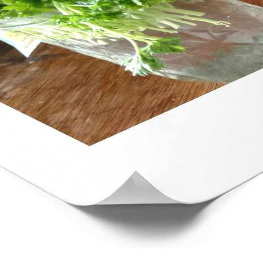 Poster van peterselie, kantro en groene uien (Hoek)