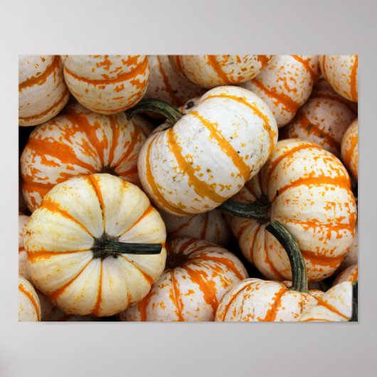 Poster van pompoenen (Voorkant)