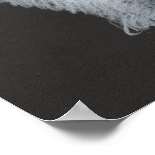 Poster van poolBeer (Hoek)