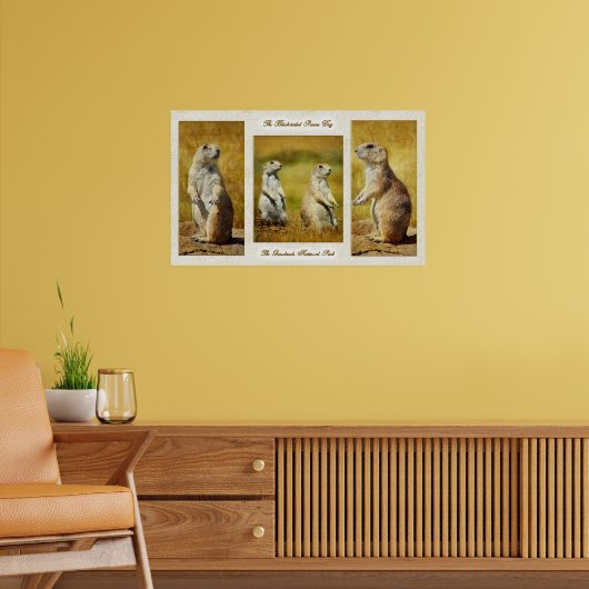 Poster van Prairie Dog, met zwarte staart (Woonkamer 2)