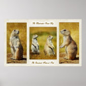 Poster van Prairie Dog, met zwarte staart (Voorkant)