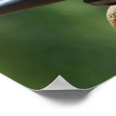 Poster van Prairie Dog Soldaten (Hoek)