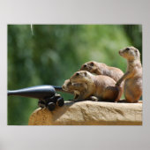 Poster van Prairie Dog Soldaten (Voorkant)