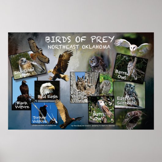 Poster van Prey 19v2 (Voorkant)