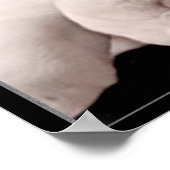 Poster van puppies van bulledog (Hoek)