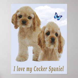 Poster van puppies van Cockerspaniel