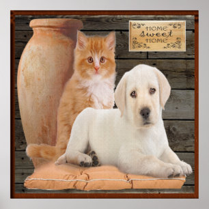 poster van puppy en kitten