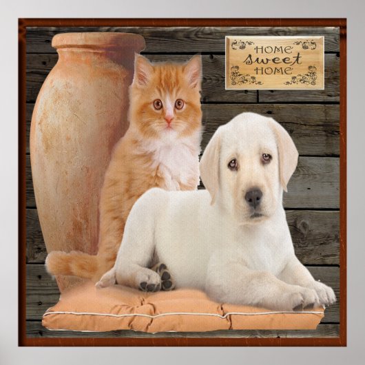poster van puppy en kitten (Voorkant)