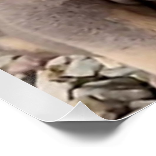 Poster van pups (Hoek)