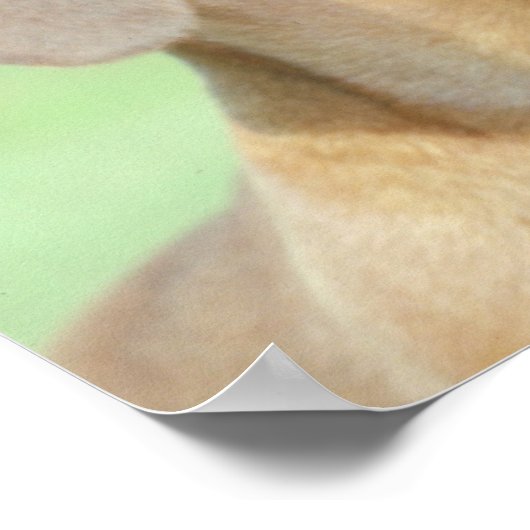 Poster van Red Dachshund (Hoek)