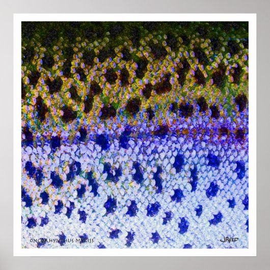 Poster van regenboogforel FFF (Voorkant)