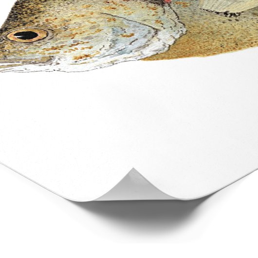 Poster van Relieve Sunfish Art (Hoek)