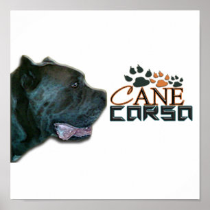 Poster van riet Corso (P)