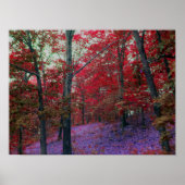 Poster van rode bomen (Voorkant)