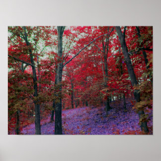 Poster van rode bomen