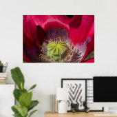 Poster van rode en Paarse papaver (Thuiskantoor)