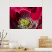 Poster van rode en Paarse papaver (Keuken)