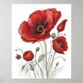 Poster van rode papaver (Voorkant)
