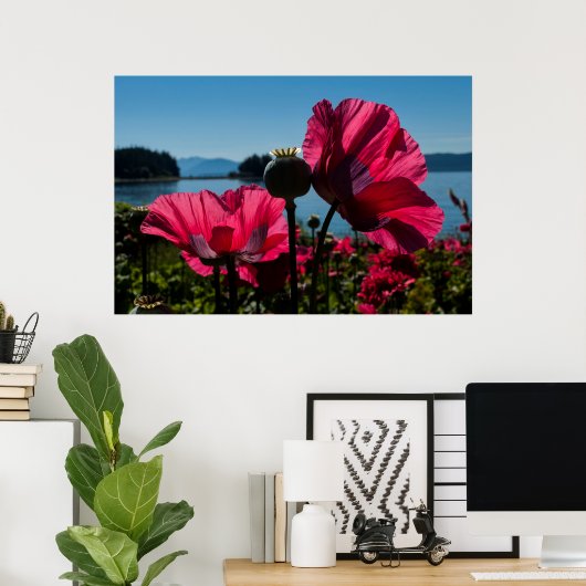 Poster van rode papaver (Thuiskantoor)