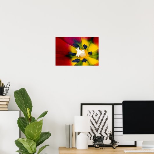 Poster van rode tulpbloem (Thuiskantoor)