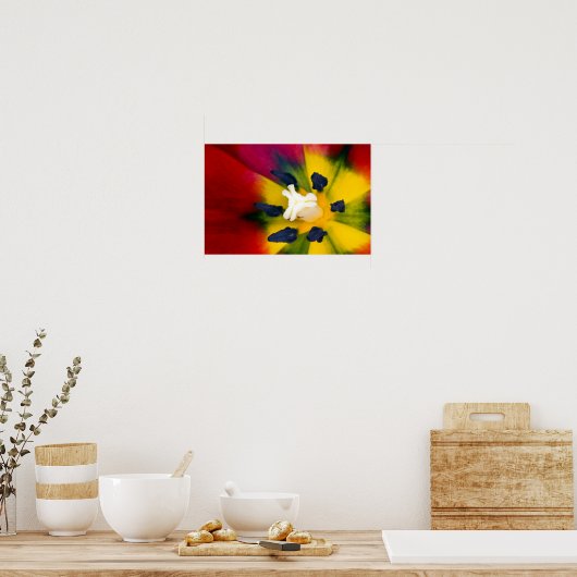 Poster van rode tulpbloem (Keuken)