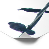 Poster van roekvogels acrobaten (Hoek)