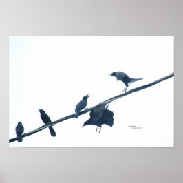 Poster van roekvogels acrobaten