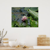 Poster van Roze Water Lily (Keuken)