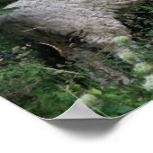 Poster van schapenvlees met schouderblad (Hoek)