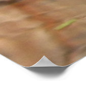 Poster van schildpad (Hoek)