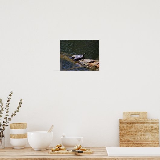 Poster van schildpadden (Keuken)