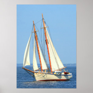 poster van schoenenzeilen