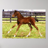 Poster van schouderlijk bloed (Voorkant)