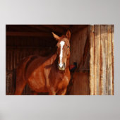 poster van schuur (Voorkant)