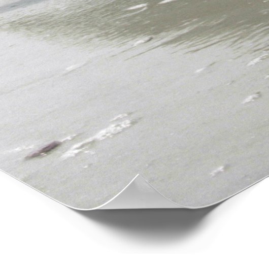 Poster van SeaFog Pelican (Hoek)