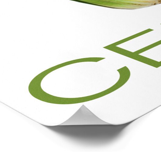 Poster van selderij (Hoek)