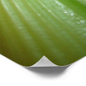 Poster van selderij en wortelen (Hoek)