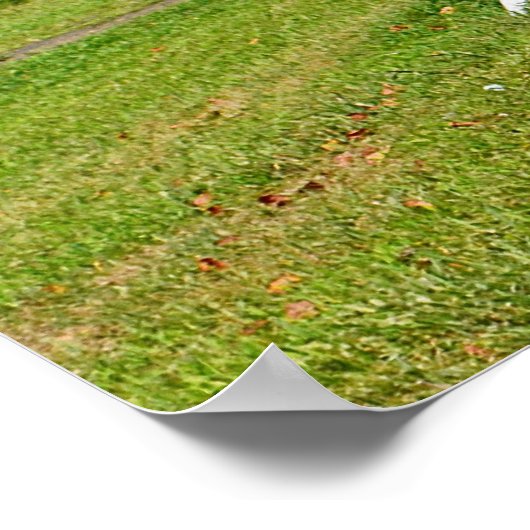 Poster van Shell (Hoek)